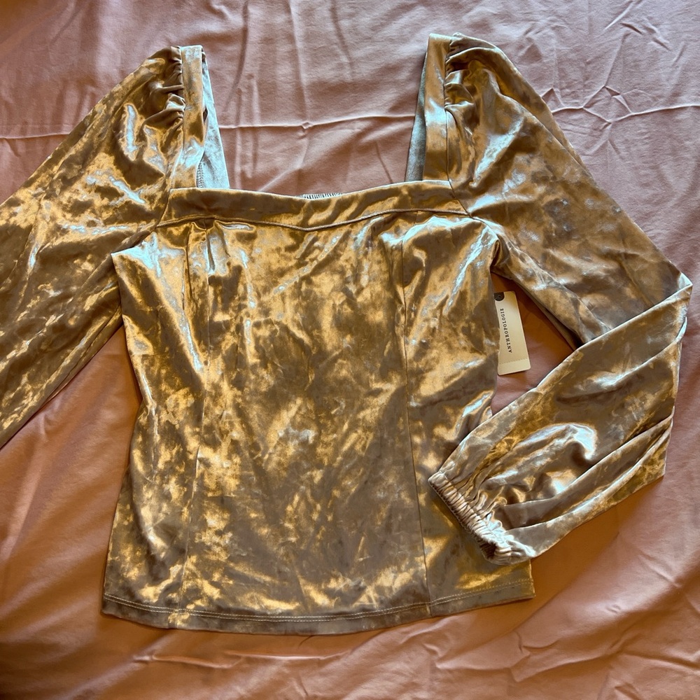 Anthropologie Shimmering Silver Velvet Blouse